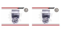 Esen SKV 2X Radnabe Radlagersatz Hinten FüR Honda Civic Viii Stufenheck FD FA