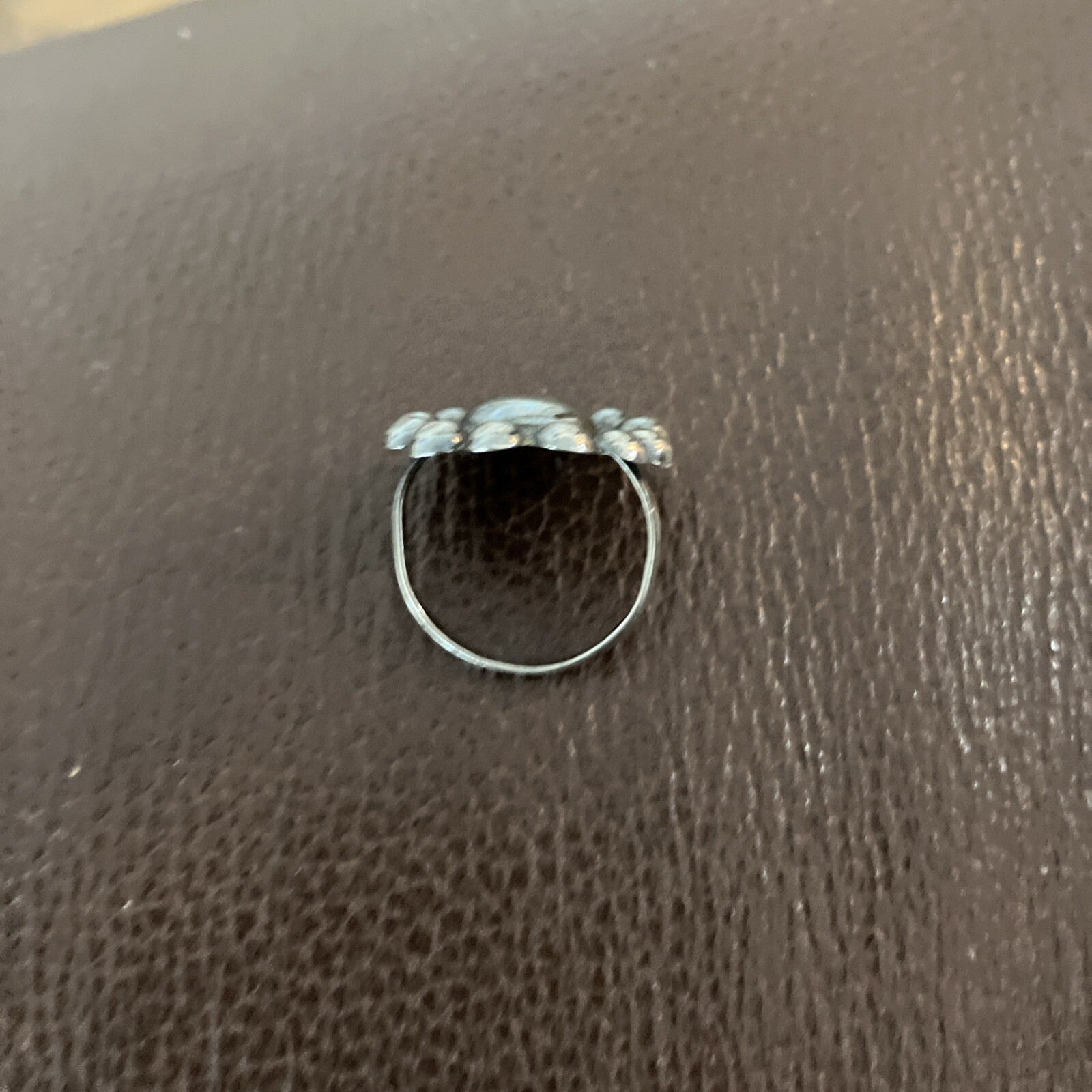 Picture 5 of 5