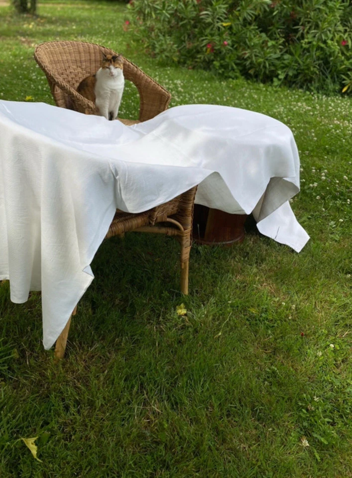 Grande Nappe Ancienne Très Beaux Damas Souple - Photo 2/4