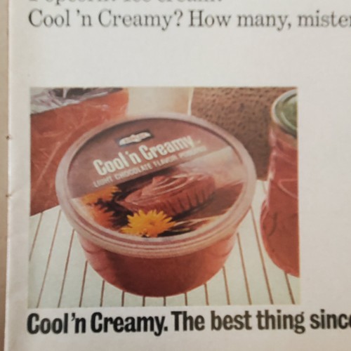 1971 Ad Birds Eye Cream Chocolate Pudding Dessert Ephemera Print Advertisement - Picture 8 of 12