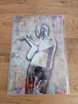 Chris Martin (Coldplay) Metallschild 30x20cm