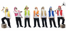 Adults 7 Dwarfs Gnomes Elf Stag Night Festival Group Fancy Dress Costume
