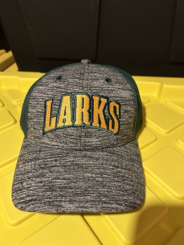 New Bismarck Larks Northwoods League Baseball Hat