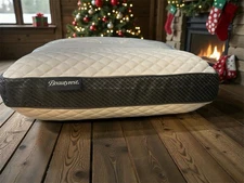 Beautyrest Absolute Relaxation Pillow /Pressure Relieving, Queen Size