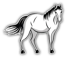 Horse Car Bumper Sticker Decal 5'' x 4''