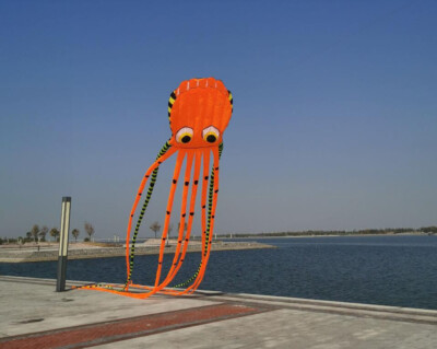 3D eyes 15m orange 1 Line Stunt Parafoil Octopus POWER Sport Kite outdoor toyaa