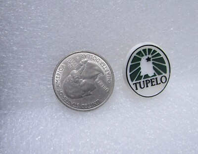 Tupelo Mississippi Plastic Pin
