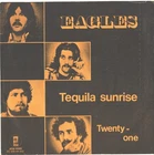 EAGLES--DUTCH PICTURE SLEEVE + 45--(TEQUILA SUNRISE)--PS--PIC--SLV
