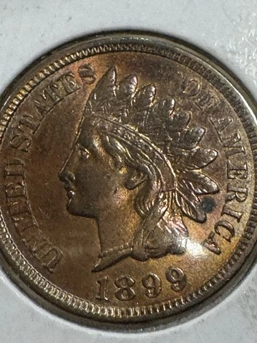 Brilliant Uncirculated 1899 Indian Head Cent, Frosty, Red-Brown specimen.