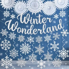 Winter Wonderland Decorations, Silver Winter Wonderland Christmas Decorations In