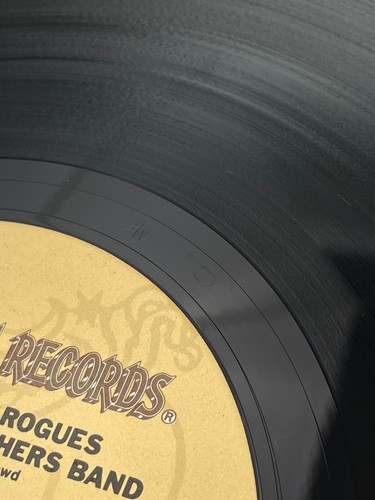 Allman Brothers Band Enlightened Rogues Vinyl LP Capricorn Records CPN0218 VG+ - Imagen 11 de 13
