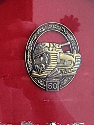 STEEL TOMAHAWK MILITARY DISPLAY CASE WITH PINS 🪖 - Picture 13 of 22