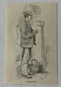 1878 small magazine engraving ~ MAN SELLING JAPANESE SPITZ PUPS in NYC