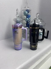 Set of 2 Stanley x Wicked FlowState 30oz Tumblers Glinda & Elphaba For Good NEW