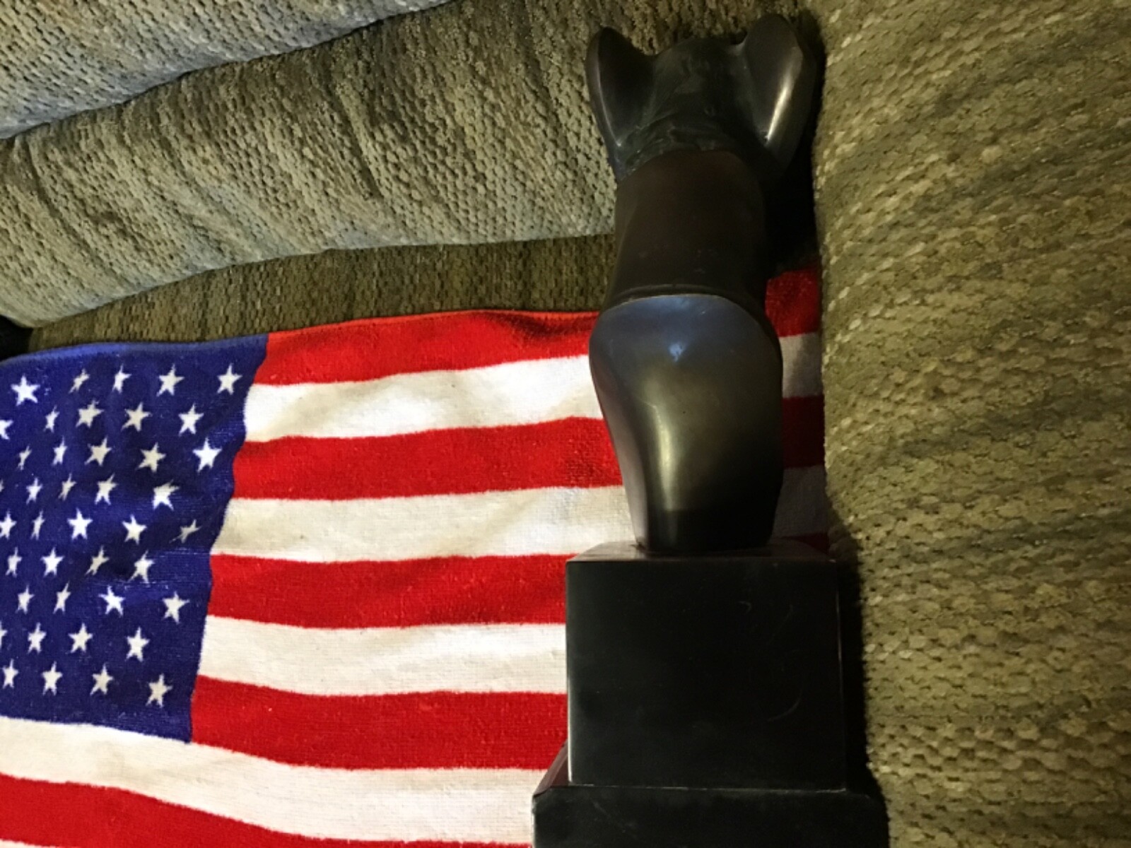 Picture 9 of 11