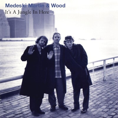 MEDESKI MARTIN & WOOD メデスキマーティン　レコード Medeski Martin & Wood , メデスキ・マーティン&ウッド