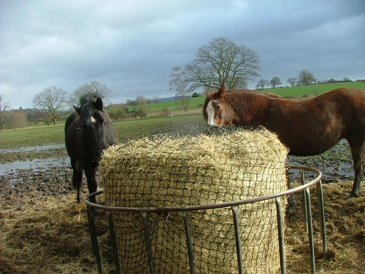ROUND BALE GIANT SIZE NET 6FT 1.85m diam. STRONG SLOW FEED HARD