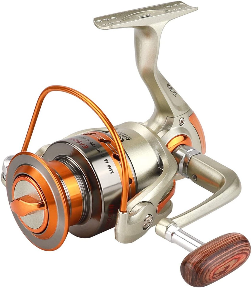 Saltwater Fishing Spinning Reel Left / Right Interchangeable 12BB Ball  Bearing | eBay
