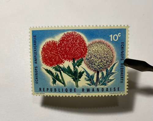 Rare - Rwanda, Republique Rwandaise 10 Cents Stamp Mint Hinged - 第 3/19 張圖片