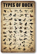 Type Of Duck Tin Sign Hunting Decor Mallard Ducks metal tin sign