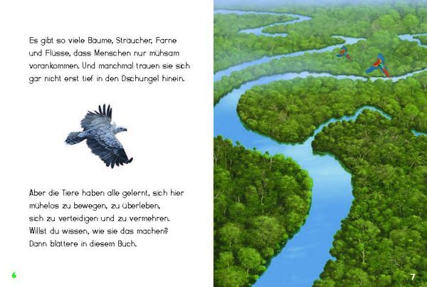 Thumbnail - Bunter Regenwald