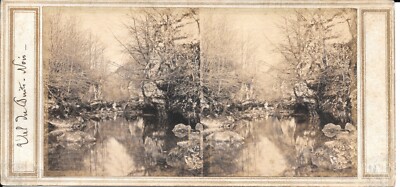 Stereo Foto | 1860 | Frankreich | Schlucht Val du puits noir Bremen