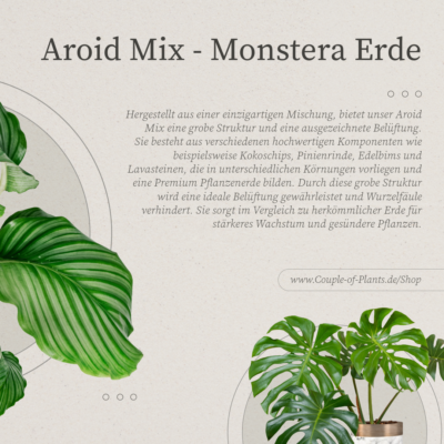 Monstera Erde - Aroid Mix | Torffreie Pflanzenerde fr Monstera &  Philodendron | eBay.de