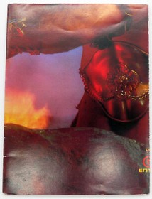 Iron Sword Wizards & Warriors II Nintendo NES Poster Insert #2 ACL-IR-US