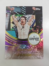 2025 Topps Universe Sheamus Silver Holo 301/399 WWE Survivor Series