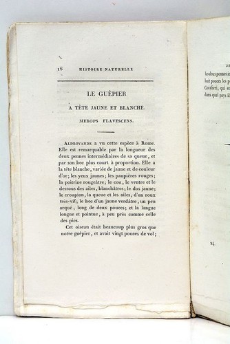 Histoire naturelle de BUFFON nouvel ordre CUVIER Tome 24e Planches Oiseaux 1826 - Picture 5 of 10