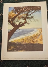 1940s-50s Standard Oil Co. of California Travel Print #OS4 So Cal Beach
