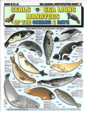 Sea Mammal Identification #3 - Quick Reference (Seals, Sea Lions & Manatees)