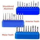 Dental Diamond FG Burs Friction Grip Kit for Crown/Bridge Preparation Anterior