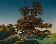 Maxfield Parrish : Portrait of a Tree : Archival Art Print