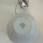 Picture 8 of 8