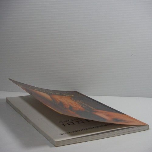Mehndi Body Painting Paperback book by Zaynab Mirza VGC Learn the art of henna - Picture 11 of 14