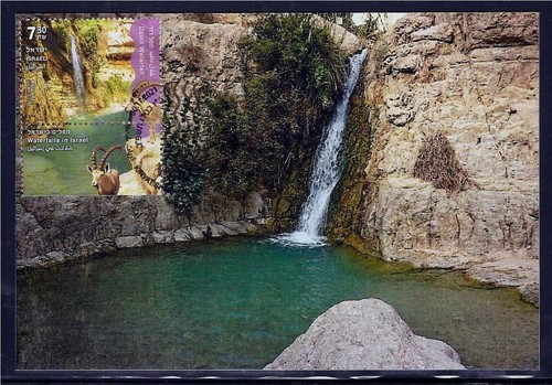 CASCADAS ISRAEL 2021 3 SELLOS EN TARJETAS MÁXIMAS FAUNA FLOR CABRAS - Imagen 4 de 4