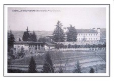 #593 Stampa 29,6 CM. x 20,9 Cm. Castello Belvedere (Serravalle) - Proprietà Buti