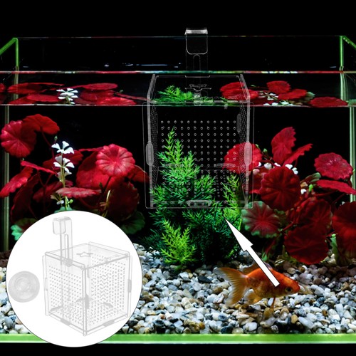 Fish Tank Isolation Box Baby Aquarium Specimen Container Accessories - Picture 8 of 12
