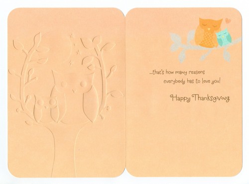 Cute FIRST THANKSGIVING Greeting Card FOR ONE YEAR OLD GRANDSON by Hallmark +✉ - Picture 2 of 5