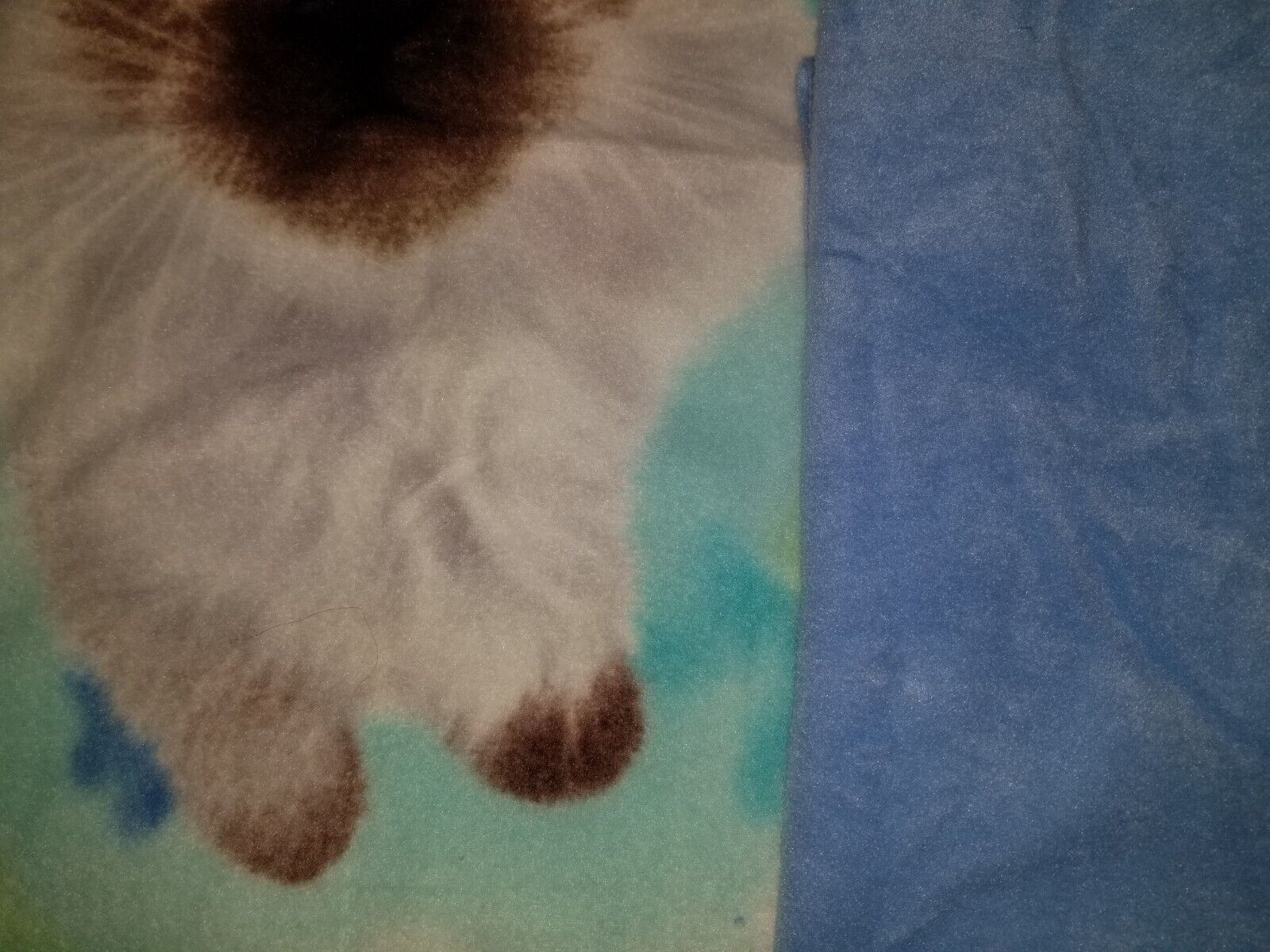 Picture 3 of 3