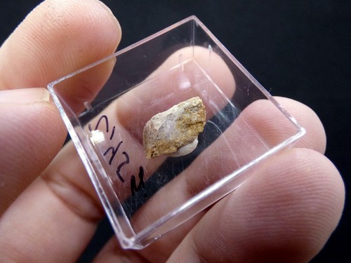 FD MINERALES: Mineral exclusivo de EUXENITA (Y) - Ankisabe - Madagascar - er 421 - Imagen 4 de 6