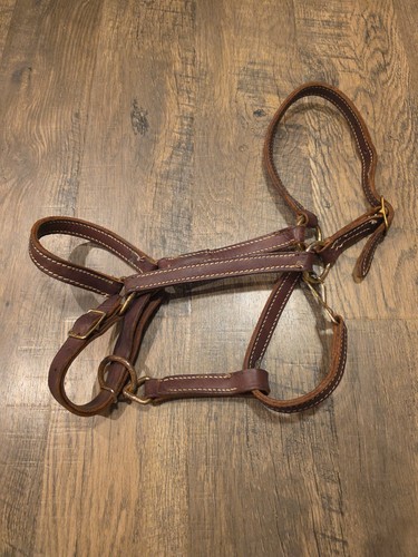 Horse Leather Halter