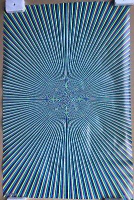Vision Todd Rundgren  Psychedelic Flowfazer Optical Poster