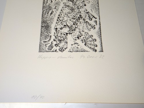 Philip Oeser: 1972 Hippie-Vanitas Lithografie Nr.10/40 / 41,5x29,5cm - Picture 2 of 3