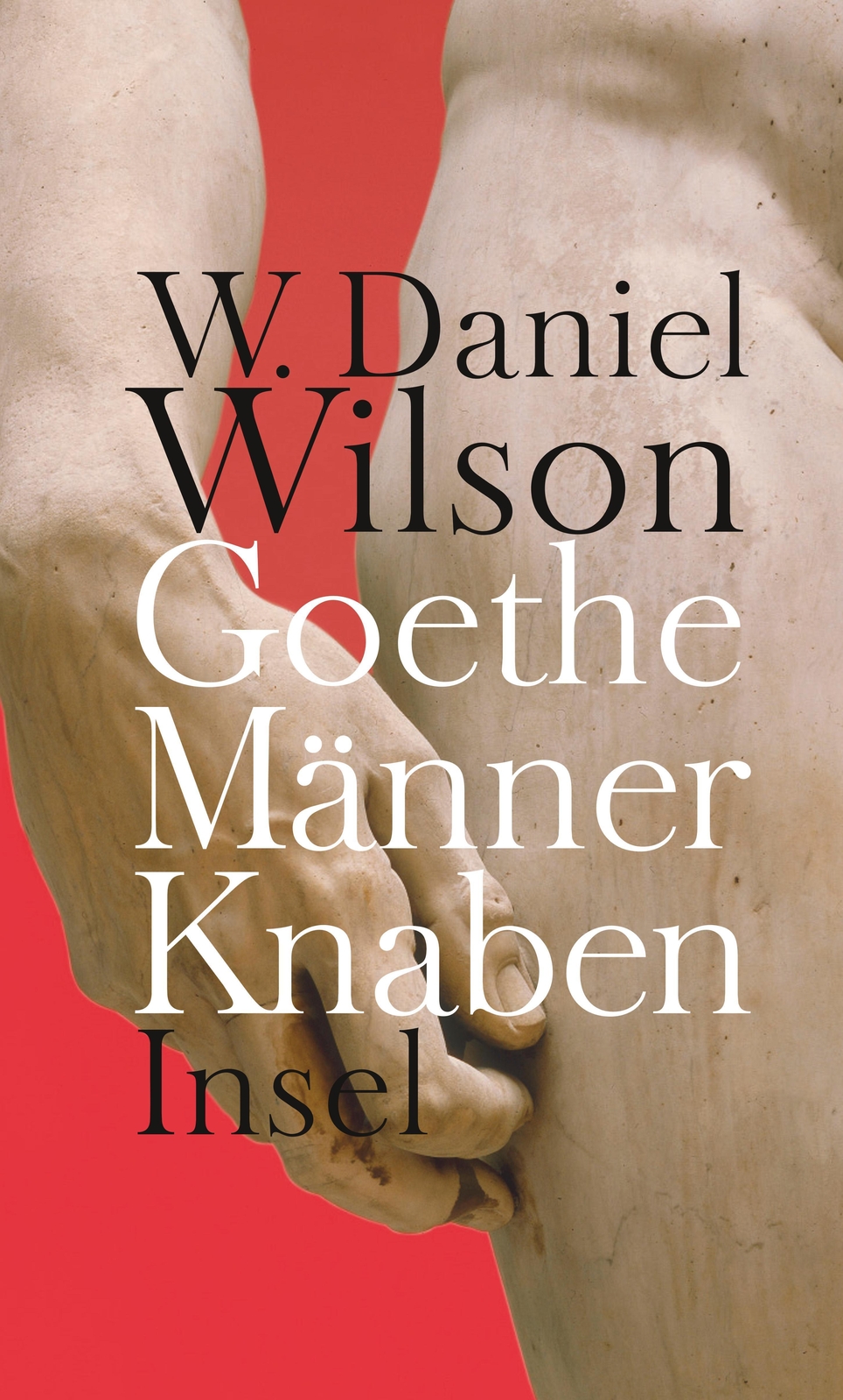 Thumbnail - W. Daniel Wilson | Goethe Männer Knaben | Buch | Deutsch (2012) | 503