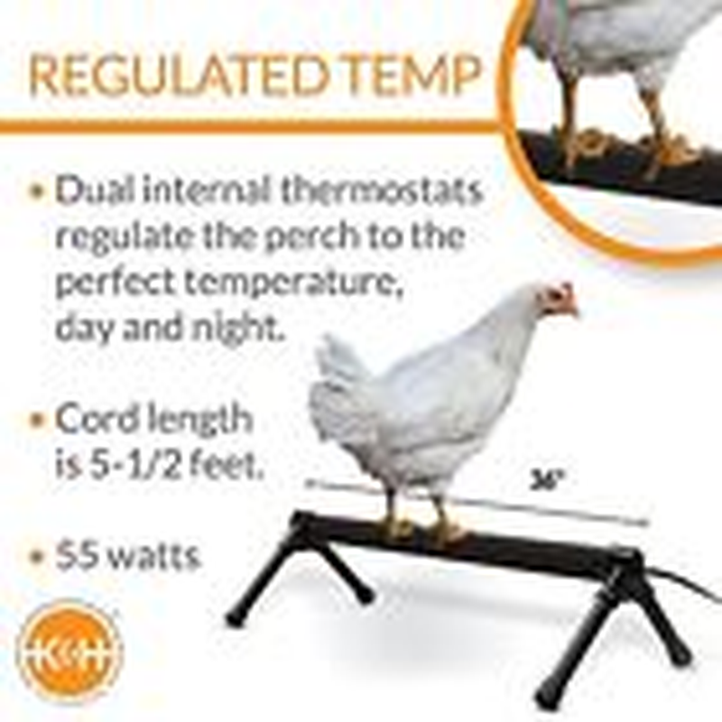 ThermoChicken Perch Warming Chicken Heater for Chicken Coops, Prevents
