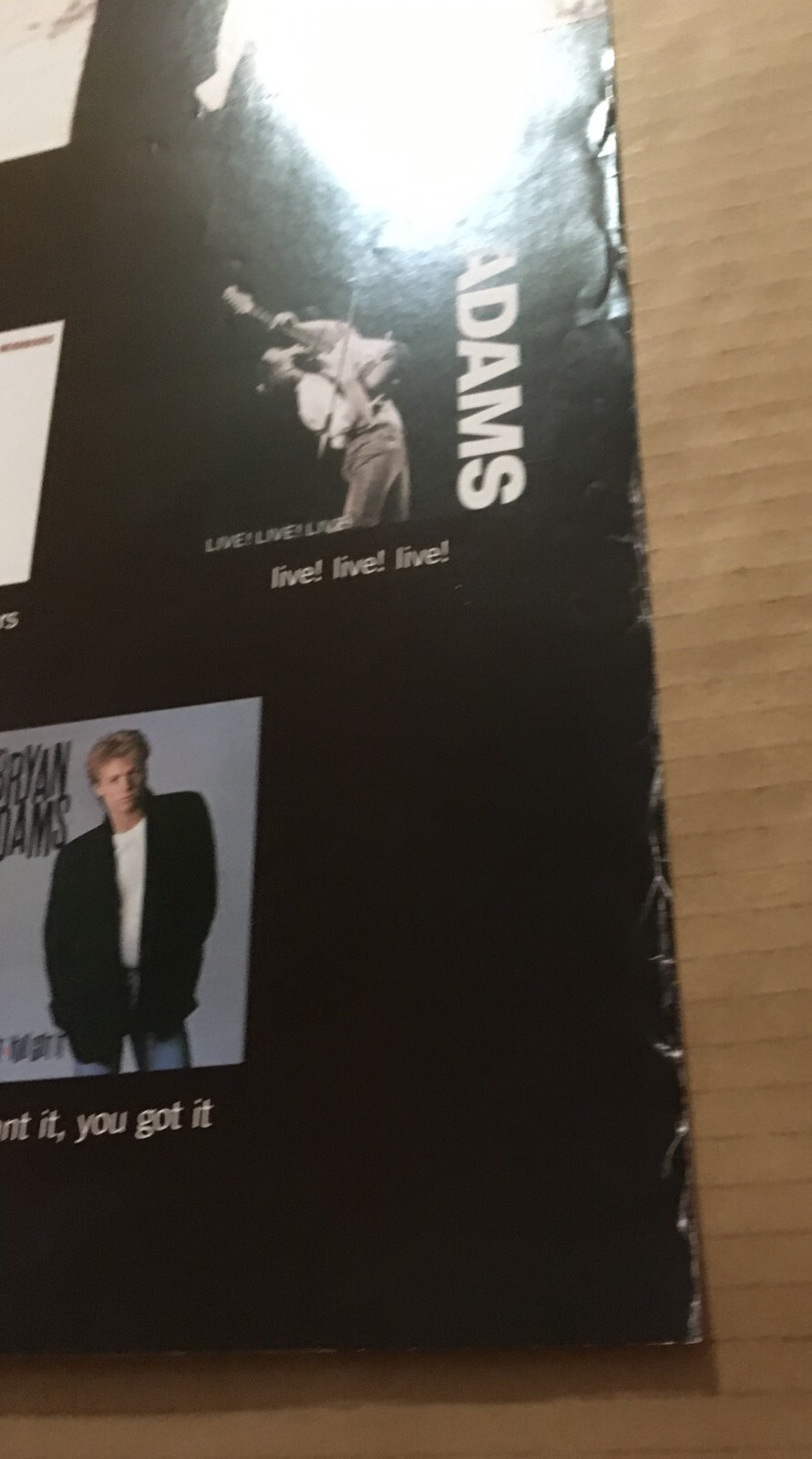 BRYAN ADAMS Rare VINTAGE 1998 BIG 24x36 PROMO POSTER for Day CD NEVER ...