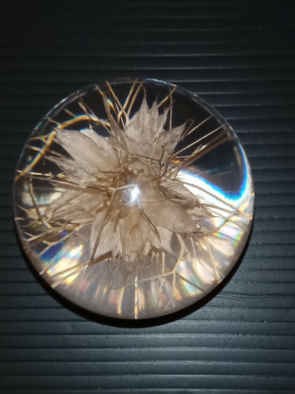 Picture 1 of 7