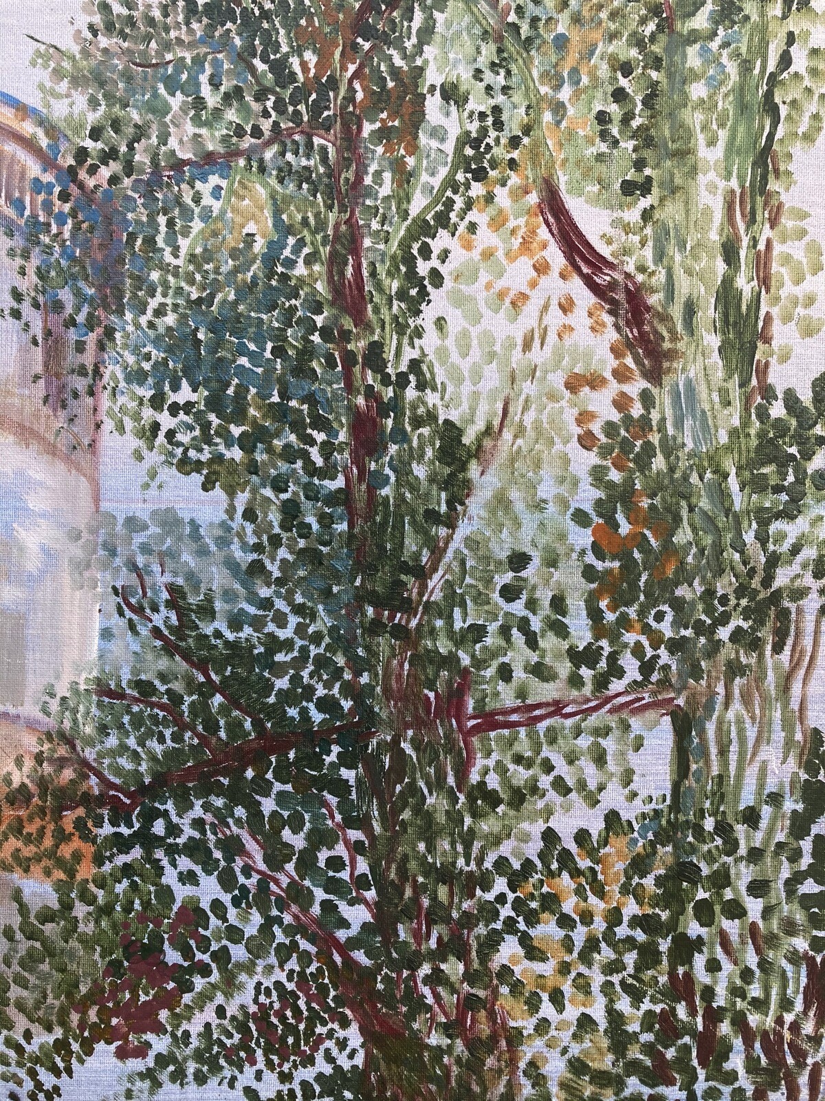 Picture 5 of 12